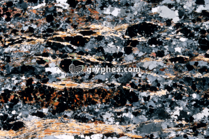 Gneiss à sillimanite LPA x3 - gryphea.com